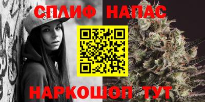 трава Будённовск