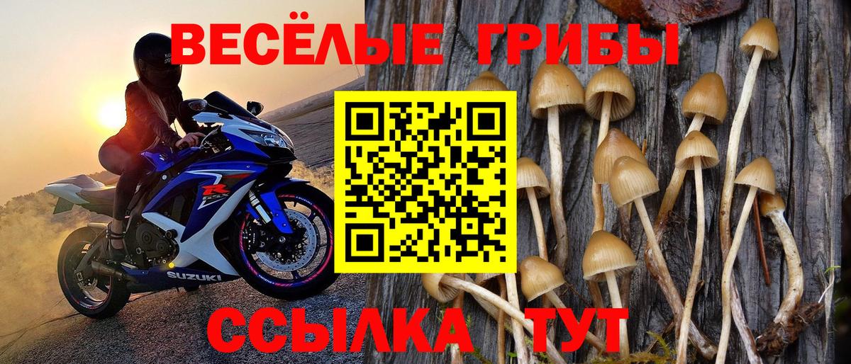 Галлюциногенные грибы GOLDEN TEACHER Подольск
