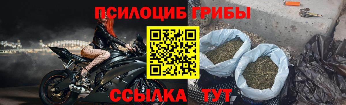 Псилоцибиновые грибы MAGIC MUSHROOMS  Вход с VPN  Подольск 
